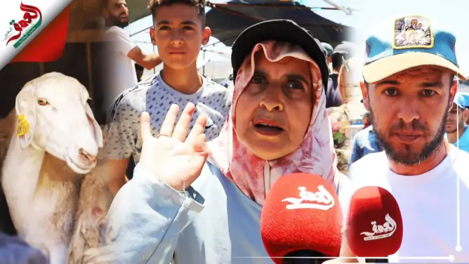 أسعار “صاروخية” للأضاحي بطنجة تُشعل غضب الساكنة.. ومواطنون: كنشعروا بالحكرة وماغاديش نعايدوا (فيديو)