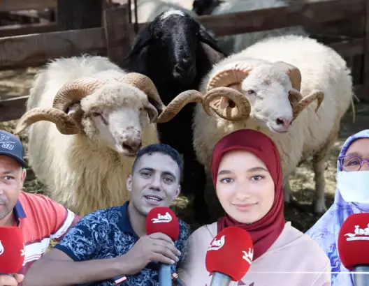 ميكرو العمق .. هكذا مرت أجواء عيد الأضحى بالعاصمة الرباط