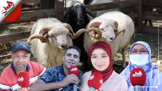 ميكرو العمق .. هكذا مرت أجواء عيد الأضحى بالعاصمة الرباط