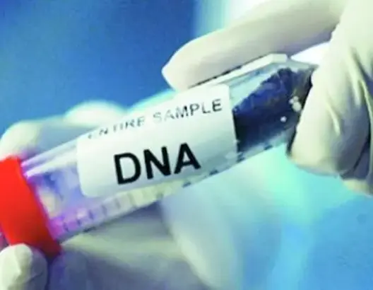 تقرير رسمي يوصي بالتنصيص صراحة في مدونة الأسرة على اعتماد “ADN” لإثبات الأبوة