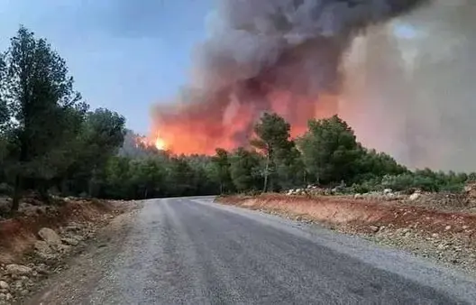 “المياه والغابات” تحذر من مخاطر قصوى لحرائق الغابات بعدة أقاليم بين 17 و20 غشت