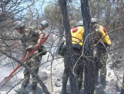 اندلاع حريق جديد بإقليم وزان.. والسلطات تسيطر على حريق "مولاي عبد القادر"