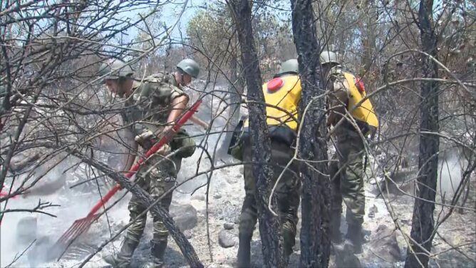 اندلاع حريق جديد بإقليم وزان.. والسلطات تسيطر على حريق "مولاي عبد القادر"