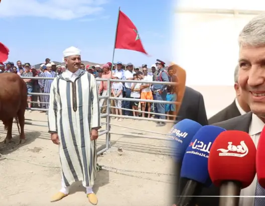 وزير الفلاحة يتوج الفائزين بمسابقة أفضل أبقار سلالة “والماس زعير”