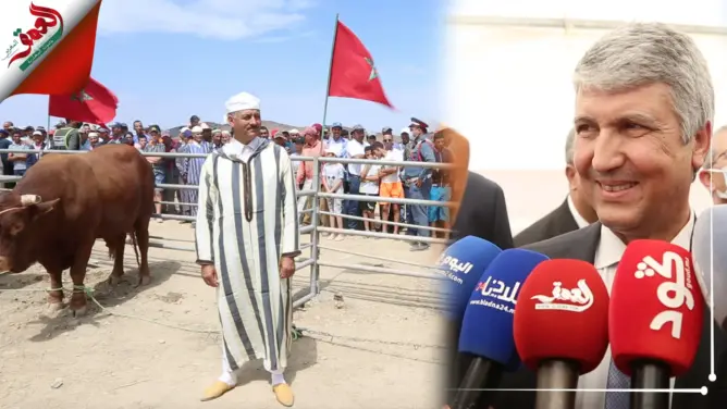وزير الفلاحة يتوج الفائزين بمسابقة أفضل أبقار سلالة “والماس زعير”