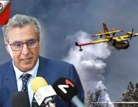 أخنوش: خصصنا 290 مليون درعم لدعم المتضررين من حرائق الغابات.. ولولا الملك لا كانت الخسائر كبيرة