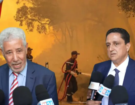 رئيسا جهتي طنجة وفاس يشيدان بالتفاعل السريع وغير المسبوق للحكومة مع أزمة الحرائق بالشمال