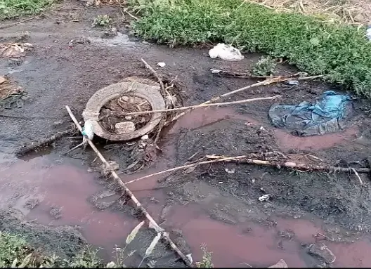 جمعية تحذر من كارثة بيئية بآسفي