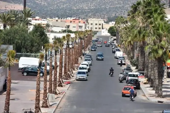 عريضة تطالب بوقف “الغرس العشوائي” للنخيل بالمدن المغربية