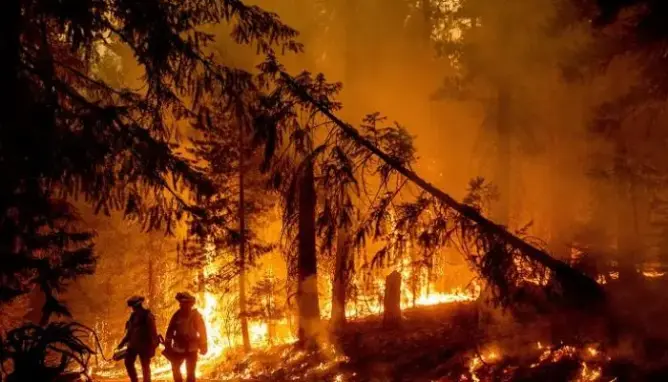 الجزائر.. وفاة 26 شخصا في حرائق الغابات والسلطات تعلن تعطل طائرة الإطفاء الروسية الوحيدة