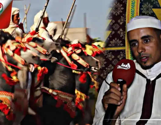 الجديدة.. خيّال يعبر عن مدى ولع “البواردية” بالخيل