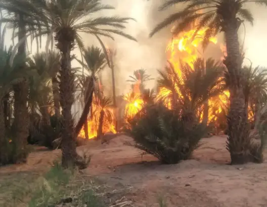 حرائق درعة .. مطالب بإعتماد مقاربة استباقية للحد من الحرائق وتعويض المتضررين