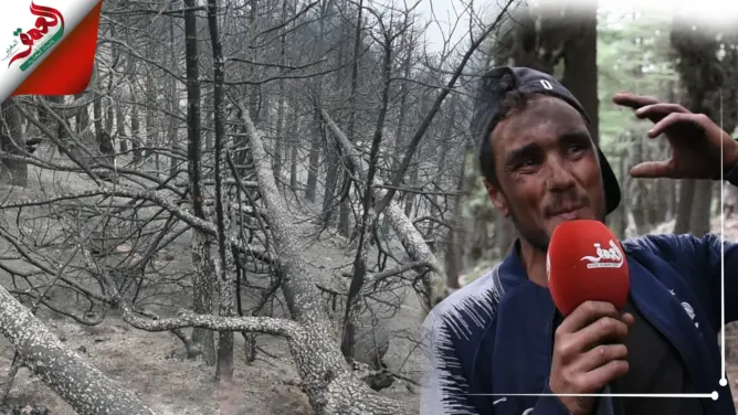 ساكنة كتامة تتجند لإخماد حرائق جبل “أغاندرو”