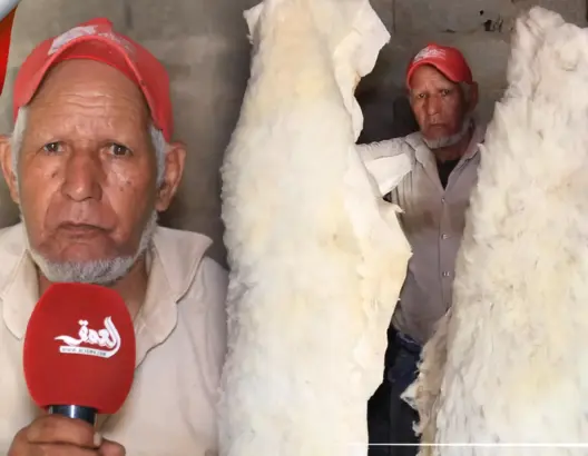 قضى 50 عاما في دباغة “الهيدورة”.. “با فاتح” يقاوم لأجل حرفة طالها الإهمال (فيديو)