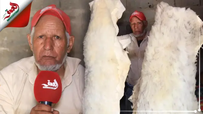 قضى 50 عاما في دباغة “الهيدورة”.. “با فاتح” يقاوم لأجل حرفة طالها الإهمال (فيديو)