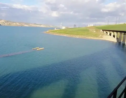الواردات المائية ترتفع بـ3 مليارات متر مكعب والحكومة تبرز أثر الأمطار الأخيرة على الفلاحة