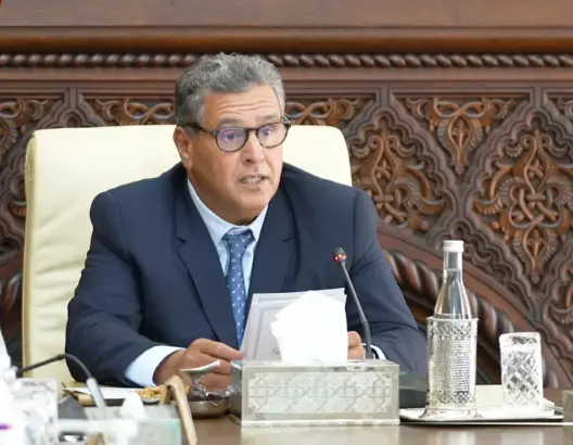 أخنوش: الحكومة ستنخرط بالكامل لتفعيل توجيهات الملك