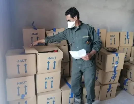 إصابة قائد وموظف خلال عملية حرق وثائق وملفات بإقليم طاطا