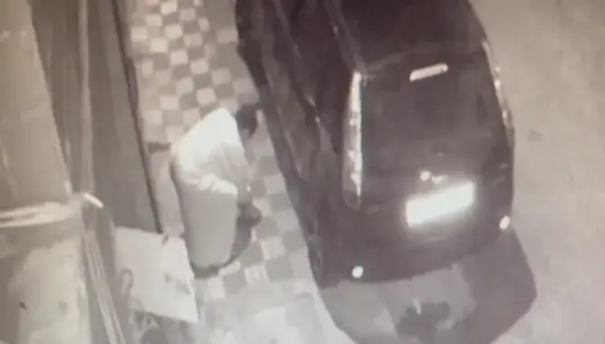 إدانة قاتل قطة بتطوان بالحبس النافذ.. وحقوقية: سابقة في القضاء المغربي