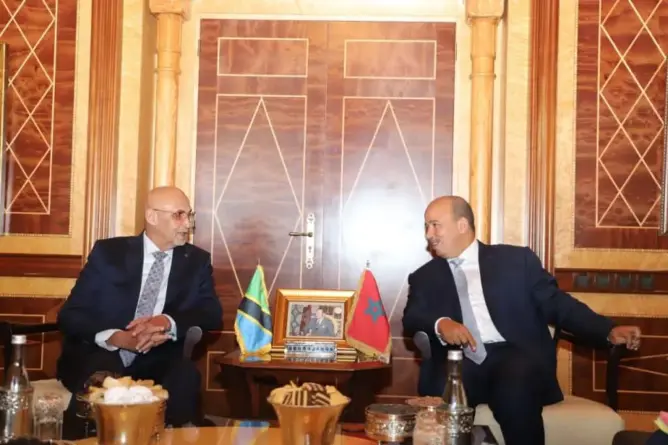ميارة يدعو تنزانيا للحياد الإيجابي بشأن الصحراء وإبداء مزيد من التفهم لموقف المغرب