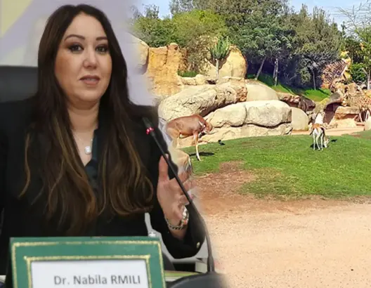 رغم فشلها في تدبير “دونور”.. الرميلي تنتدب “كازا ايفنت” لتدبير حديقة الحيوانات بعين السبع