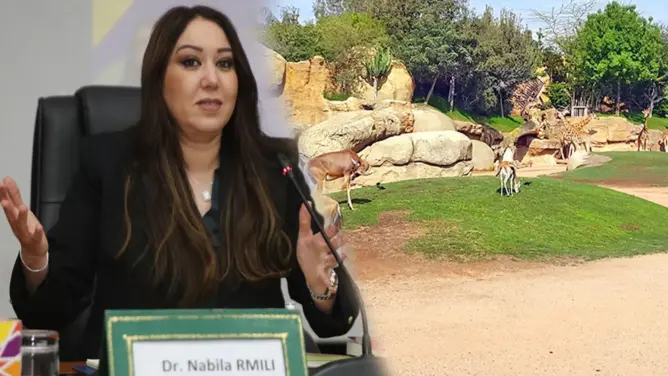 مجلس الرميلي يصادق على تسعيرة حديقة حيوانات عين السبع رغم معارضة البام