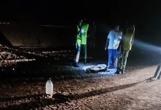 كلاب ضالة تنهش جسد طفلة تبلغ 5 سنوات حتى الموت بأكادير