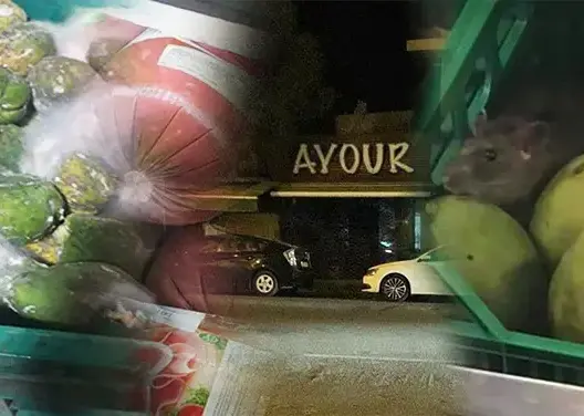 الفئران والصراصير تتسبب في إغلاق أشهر محل للمأكولات الخفيفة بالدار البيضاء (صور)