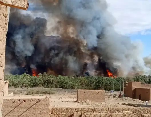 حريق مهول يدمر 1300 نخلة بواحة “إرشك” نواحي زاكورة (صور)