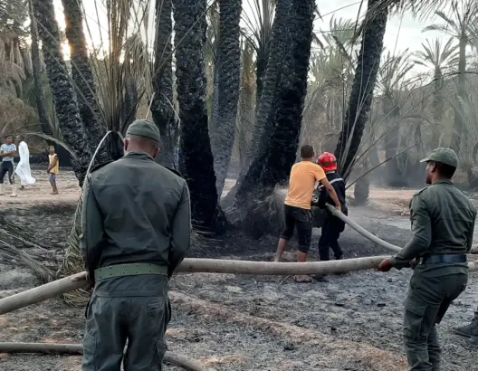 حرائق الواحات تدمر 19 ألف نخلة في سنة واحدة.. ولفتيت يكشف جهود الداخلية
