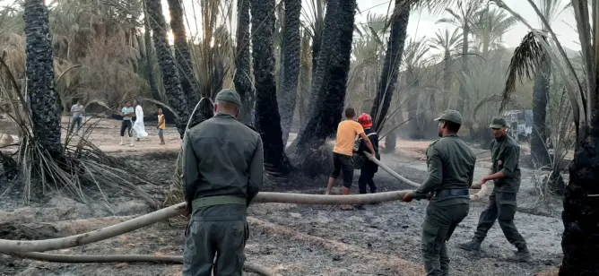 حرائق الواحات تدمر 19 ألف نخلة في سنة واحدة.. ولفتيت يكشف جهود الداخلية