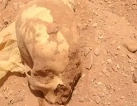 إختفى منذ 3 أعوام.. العثور على عظام بشرية لشخص ستيني نواحي الرشيدية