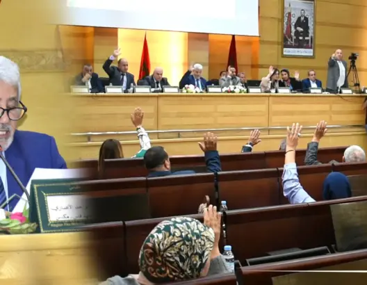 المصادقة على دعم المتضررين من حرائق تازة