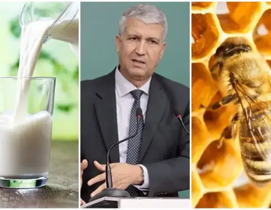 في انتظار تحرك “الفلاحة”.. الحكومة تؤكد وجود نقص في مادة الحليب وتدهور خلايا النحل (فيديو)
