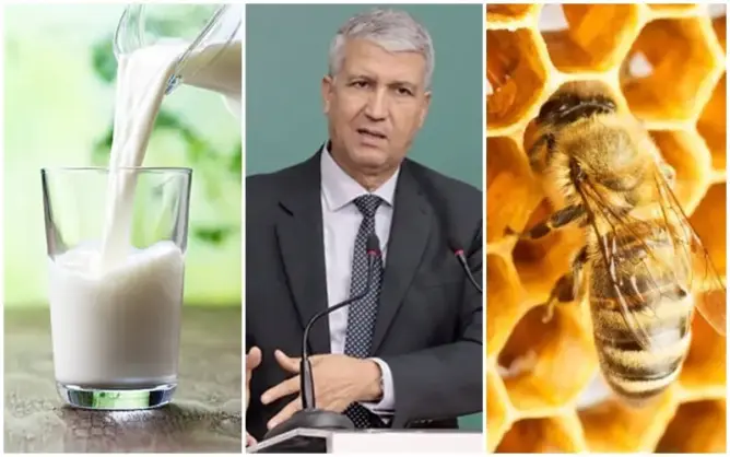 في انتظار تحرك “الفلاحة”.. الحكومة تؤكد وجود نقص في مادة الحليب وتدهور خلايا النحل (فيديو)