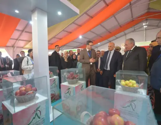 إسدال الستار على الملتقى الوطني للتفاح بميدلت
