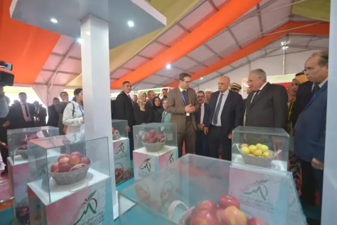 إسدال الستار على الملتقى الوطني للتفاح بميدلت