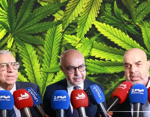 خبراء يناقشون انعكاسات تقنين  القنب الهندي على ساكنة الشمال
