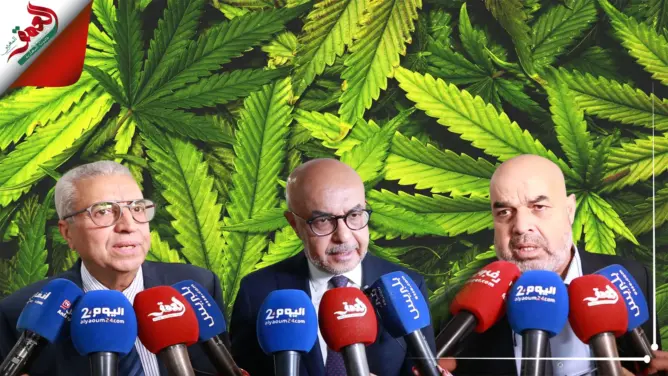 خبراء يناقشون انعكاسات تقنين  القنب الهندي على ساكنة الشمال