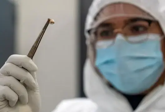 الخريطة الجينية للبشر تحمل شواهد عن وباء الطاعون الذي قتل 200 مليون شخص