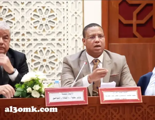 لغروس: ربط التمديد لمجلس الصحافة بمراجعة القوانين لا يستقيم.. وأخلاقيات المهنة تتعرض لانتهاك ممنهج (فيديو)