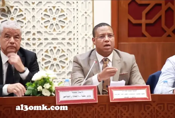 لغروس: ربط التمديد لمجلس الصحافة بمراجعة القوانين لا يستقيم.. وأخلاقيات المهنة تتعرض لانتهاك ممنهج (فيديو)