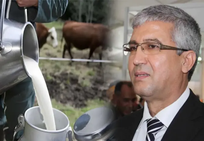 الأعلاف المدعمة تفاقم أزمة الحليب وصديقي يتجاهل مطالب وتنبيهات المنتجين