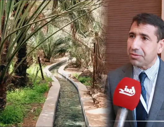 الدولة تلجأ إلى السدود وعقود الفرشة المائية لإنقاذ الواحات