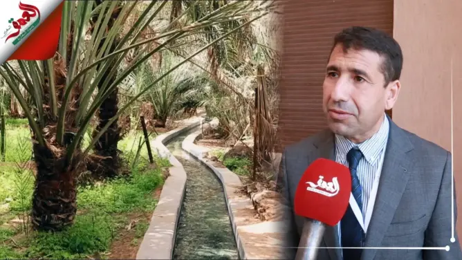 الدولة تلجأ إلى السدود وعقود الفرشة المائية لإنقاذ الواحات