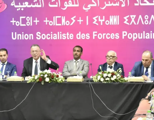 لقجع: ارتفاع الأسعار قد يؤجل إصلاح المقاصة.. والصندوق لا يفيد الفقراء (فيديو)
