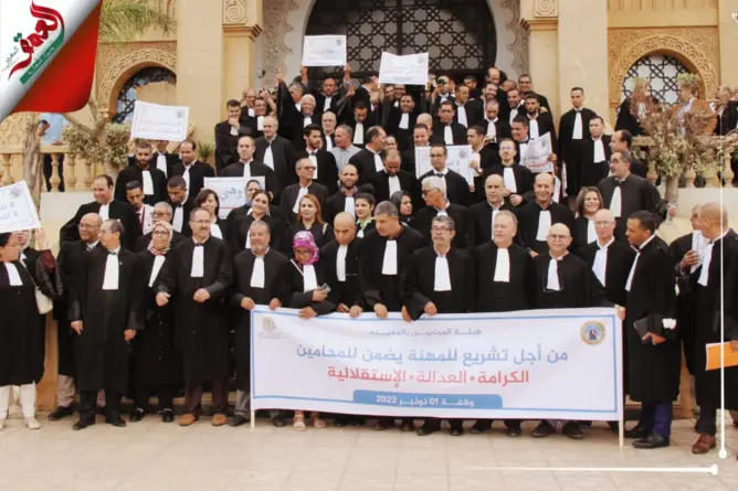 محامية بهيئة الجديدة: احتجاجنا دفاعا عن مصالح المواطن