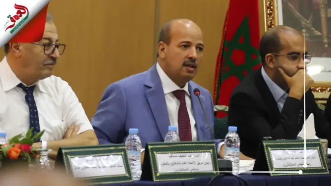ميارة: اللجوء للتضريب يحتاج تفكيرا جديا (فيديو)