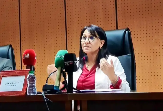 حددت 5 تحديات لحقوق الإنسان.. بوعياش تدعو لاستحضار البعد الحقوقي في استخلاص الضرائب (فيديو)