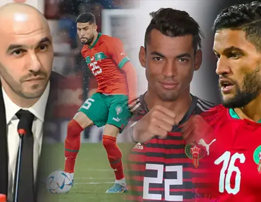 وداديو المنتخب